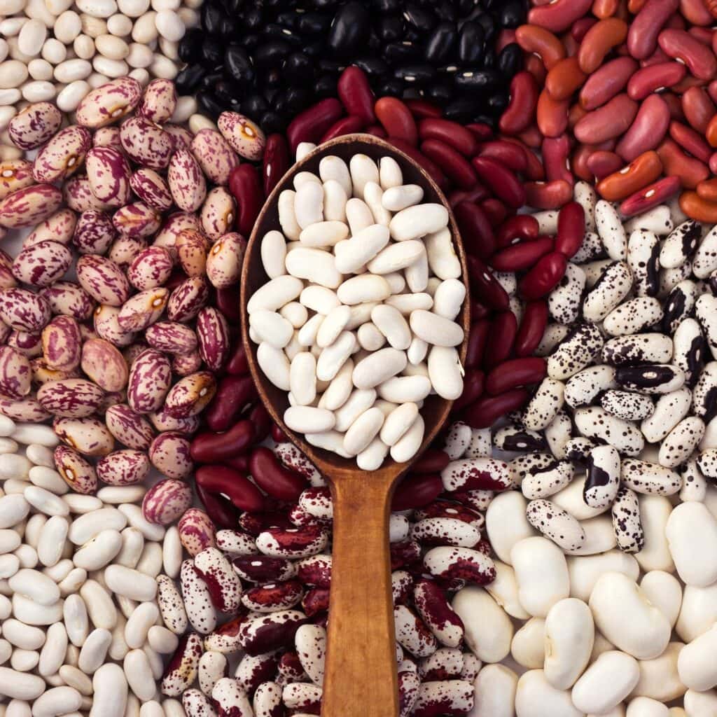 Different-Types-of-Beans-Including-Cannellini-Pinto-and-Kidney-1024x1024